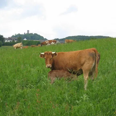 Luzia ベッド・アンド・ブレックファスト Meuspath