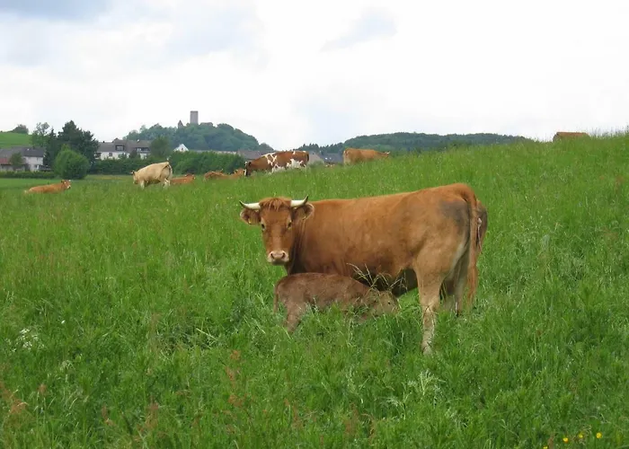 Luzia Frühstückspension Meuspath